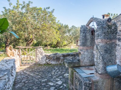 Finca Can Guillo - Outdoor photo 5