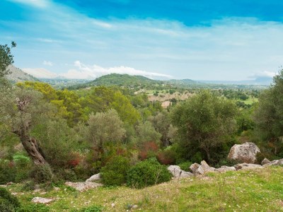 Finca Can Guillo - Environment photo 35