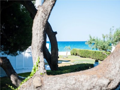 Bungalow Duna - Environment photo 28