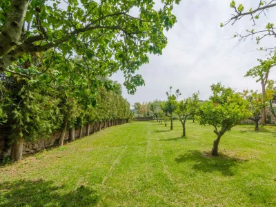 Finca Es Rafal de Baix - Environment photo 54