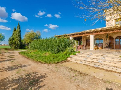 Finca Na Pont - Outdoor photo 21