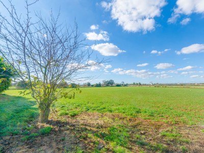 Finca Na Pont - Outdoor photo 27