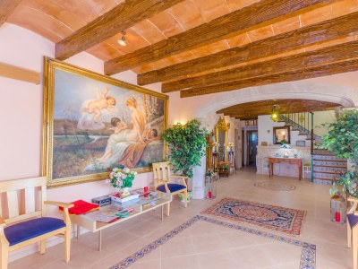 Finca Na Pont - Features photo 39