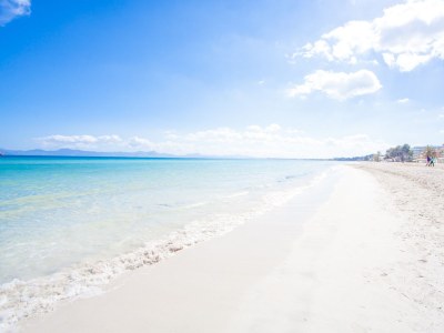 Finca Eden Son Manyo 222 - Environment photo 35