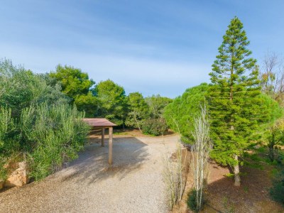 Finca Es Figueral - Outdoor photo 16