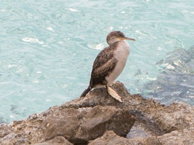 Chalet Can Bosquerró - Environment photo 47