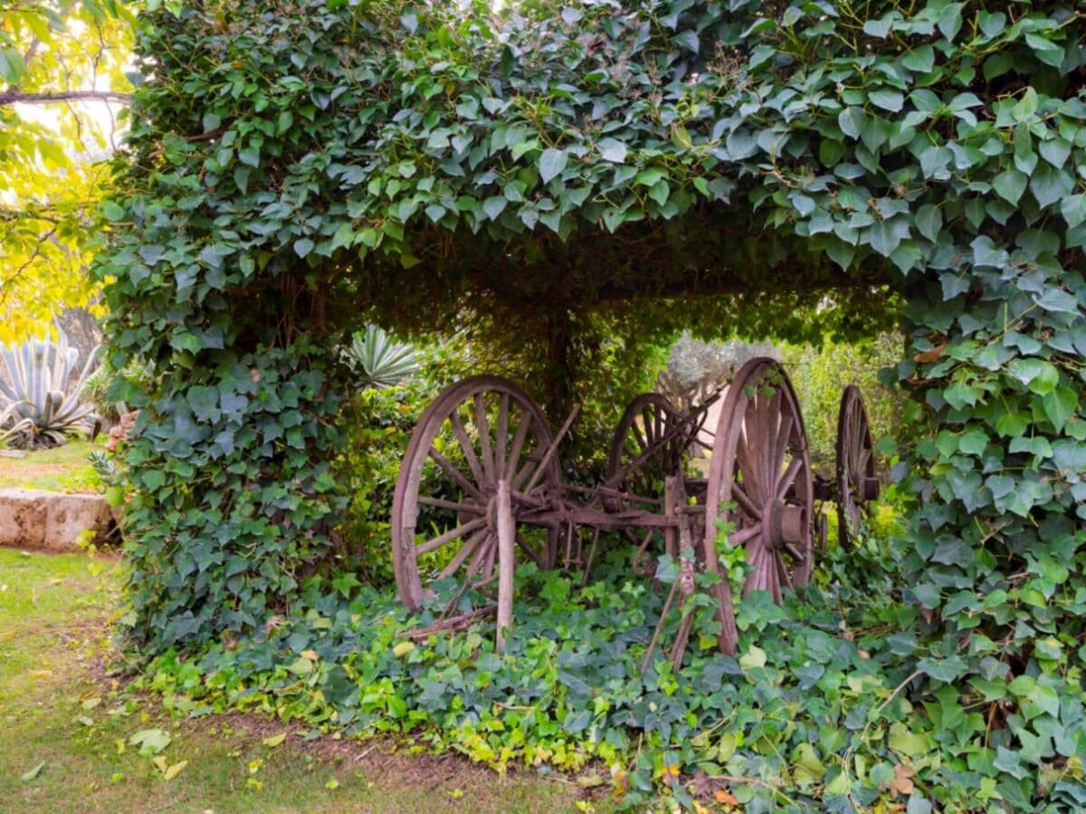 Finca Ses Tendes - Outdoor photo 5