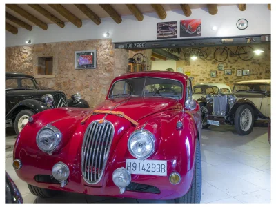 Finca S'Era Nova - Environment photo 43