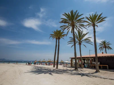 Chalet Can Rovet - Environment photo 21