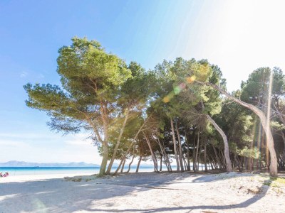 Finca Pinya - Environment photo 19