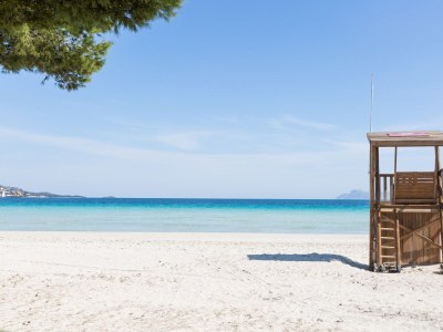 Finca Pinya - Environment photo 20