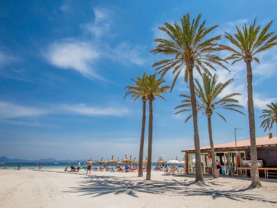 Finca Pinya - Environment photo 21