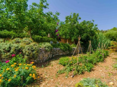 Finca Ses Pedres - 0644 - Outdoor photo 20