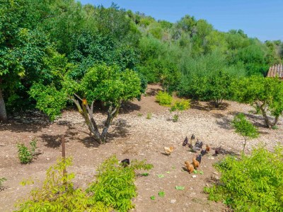 Finca Ses Pedres - 0644 - Outdoor photo 25