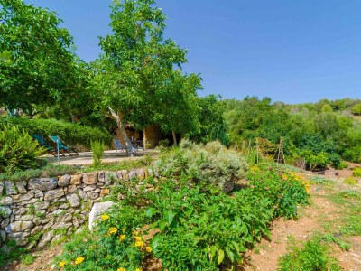 Finca Ses Pedres - 0644 - Outdoor photo 26