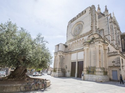Finca Ses Pedres - 0644 - Environment photo 50