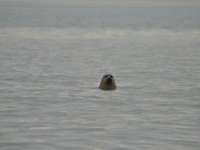 Holiday apartment Schorrebloem 39 - Environment photo 17