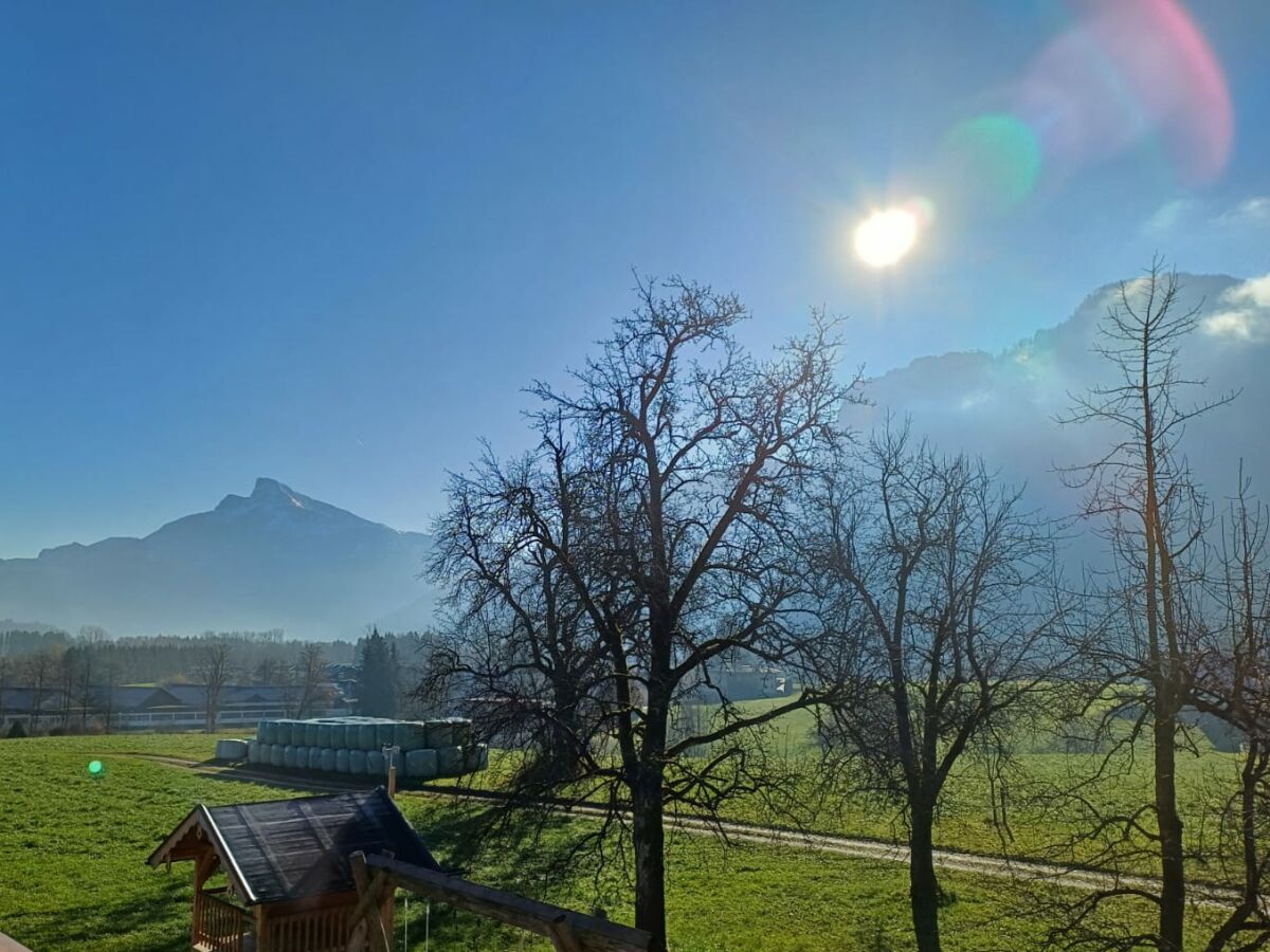 Holiday apartment Widlroither - Outdoor photo 2