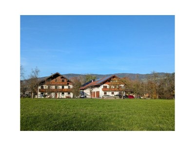 Holiday apartment Widlroither - Outdoor photo 4