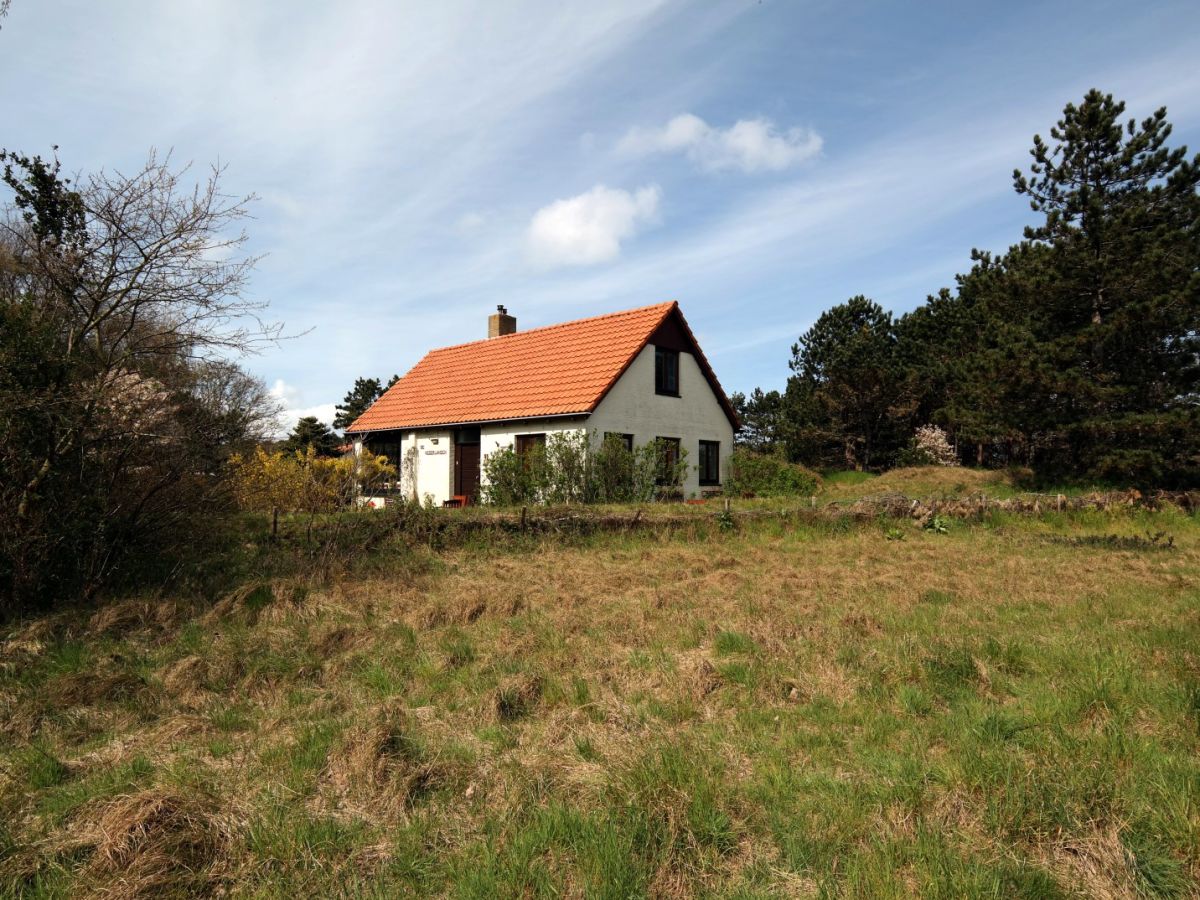 Holiday house De Nederlanden - Boodtlaan 55 - Outdoor photo 2