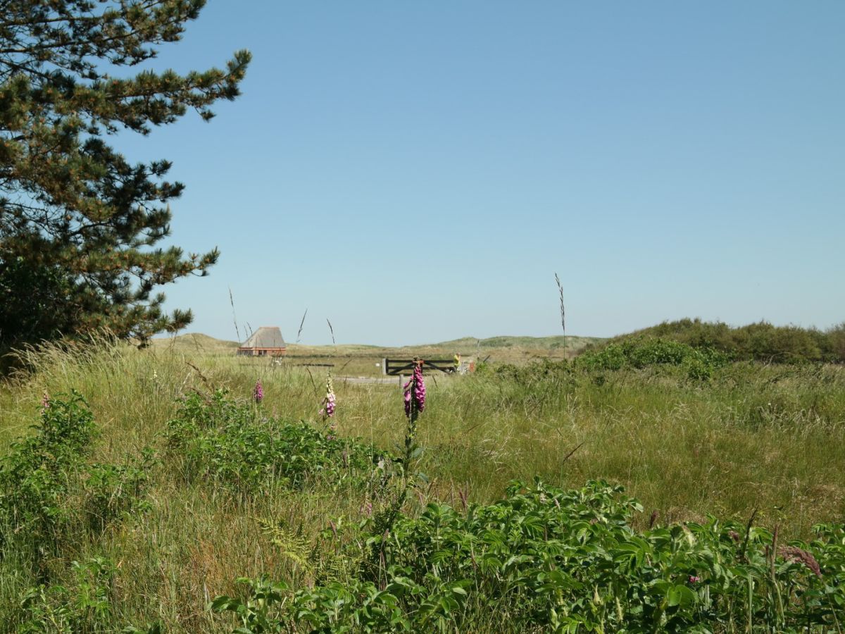 Holiday house De Nederlanden - Boodtlaan 55 - Outdoor photo 4