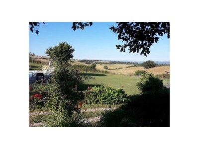 Holiday apartment La Cantinaccia, Green House - Outdoor photo 6