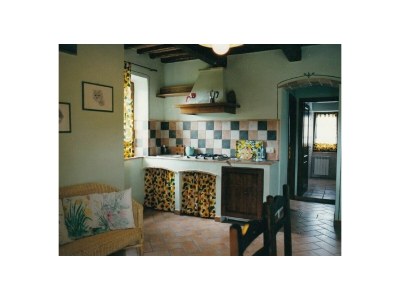Holiday apartment La Cantinaccia, Green House - Features photo 12