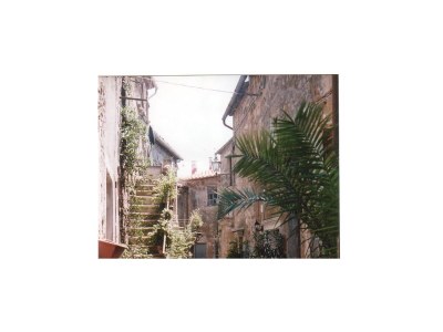 Holiday apartment La Cantinaccia, Green House - Environment photo 16