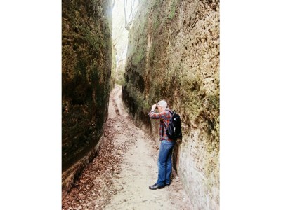 Holiday apartment La Cantinaccia, Green House - Environment photo 20