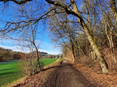 Holiday apartment Bauernhaus am Spüligbach - Environment photo 26