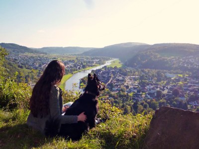 Holiday apartment Bauernhaus am Spüligbach - Environment photo 27