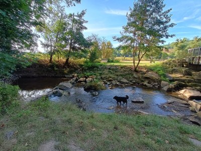 Holiday apartment Bauernhaus am Spüligbach - Environment photo 29