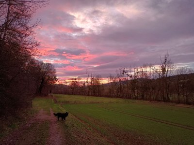 Holiday apartment Bauernhaus am Spüligbach - Environment photo 30