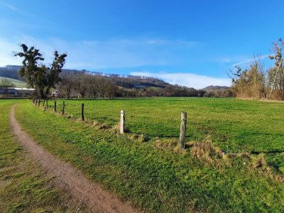 Holiday apartment Bauernhaus am Spüligbach - Environment photo 32