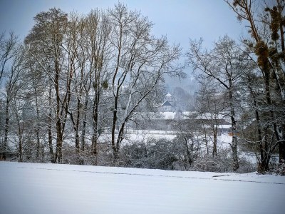 Holiday apartment Bauernhaus am Spüligbach - Environment photo 34