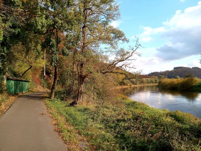 Holiday apartment Bauernhaus am Spüligbach - Environment photo 35