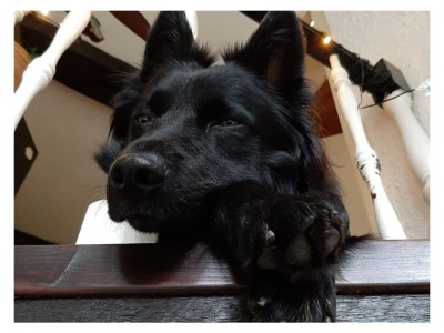 Holiday apartment Bauernhaus am Spüligbach - Environment photo 40