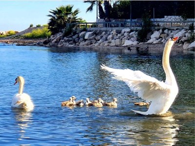 Holiday apartment Marina Baie des Anges - Environment photo 18