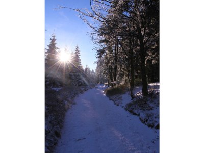 Holiday house Schneekopf - Environment photo 26