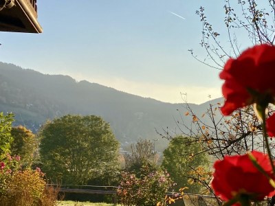 Holiday apartment Organic farm "Elfenspiegel" - Outdoor photo 12