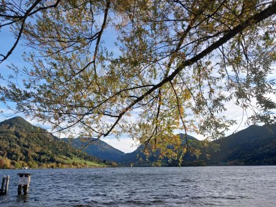 Holiday apartment Organic farm "Elfenspiegel" - Outdoor photo 13