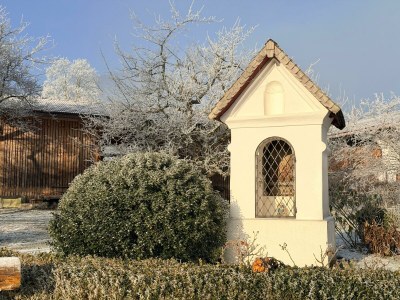 Holiday apartment Organic farm "Elfenspiegel" - Outdoor photo 16