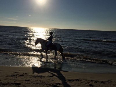 Holiday house Albatros 307 - Environment photo 20