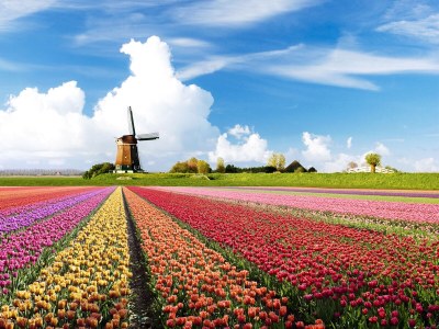 Holiday house Albatros 307 - Environment photo 25