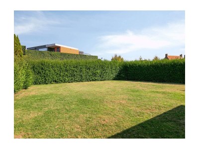 Holiday house De Schelp - Outdoor photo 2