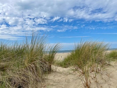 Holiday house Bruinisse 3 - Environment photo 25