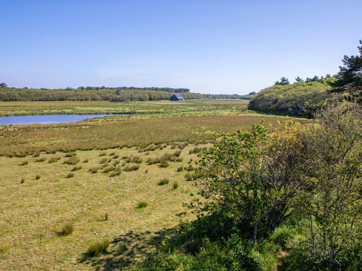 Bungalow de Parel - Outdoor photo 4