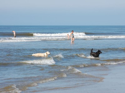 Bungalow de Parel - Environment photo 18