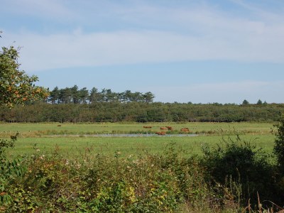 Bungalow Uterste Coogh - Environment photo 14