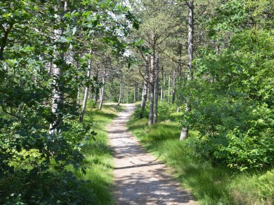 Bungalow Uterste Coogh - Environment photo 22